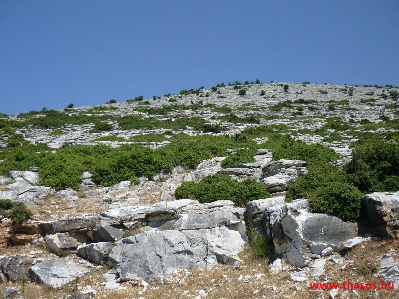 balazsh 2011